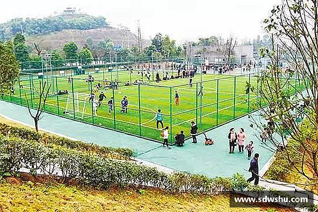 知道k1体育